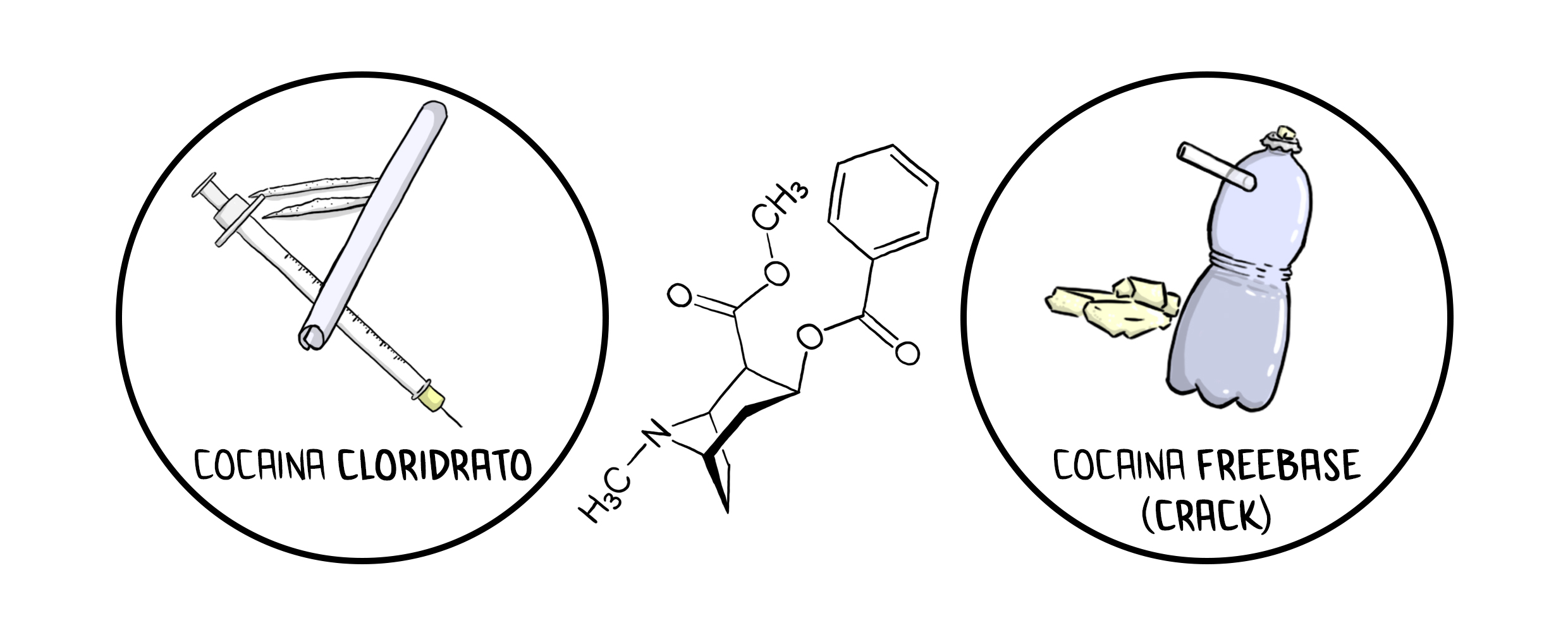 IN PILLOLE: i metaboliti della cocaina