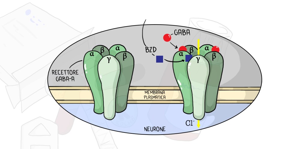 SCHEDA: BENZODIAZEPINE